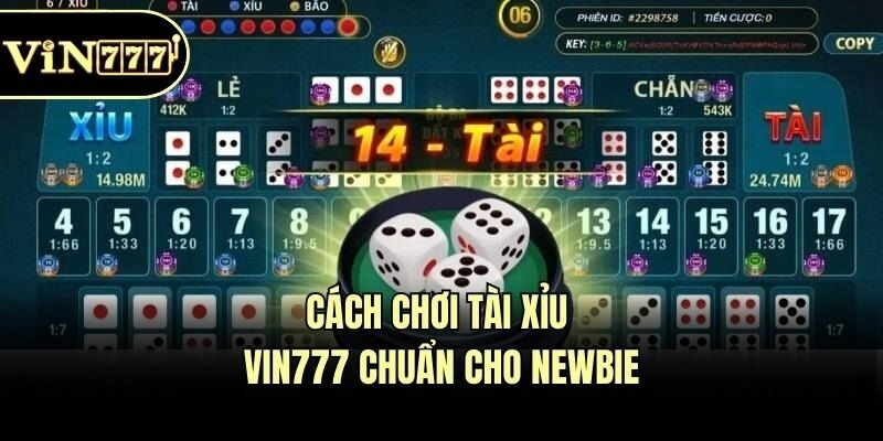Cách chơi Tài xỉu Vin777 chuẩn cho newbie